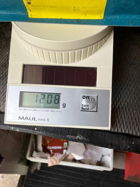 Ruim 1 kg snijbonenzaad (HELDA)