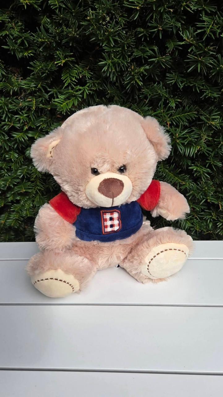 🎈Vier Nieuwe Teddyberen uit de 'Familie Beer'-collectie.