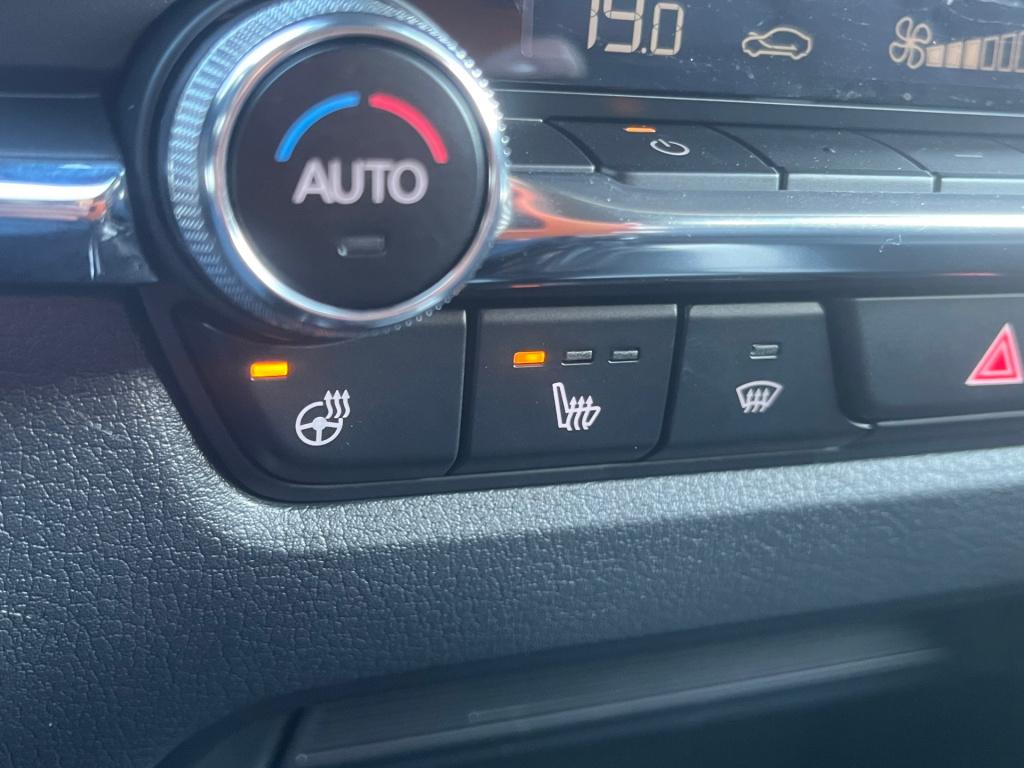 Mazda Cx-30 2.0 e-skyactiv-x 186pk luxury automaat|bose|rijklaar