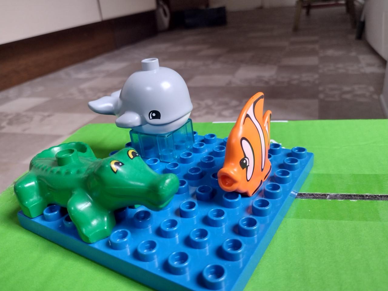 Duplo