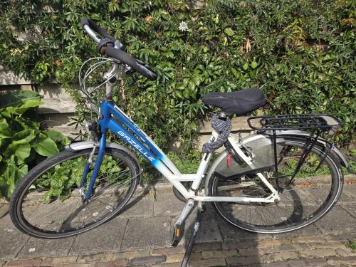 Dames fiets Gazelle Fuente