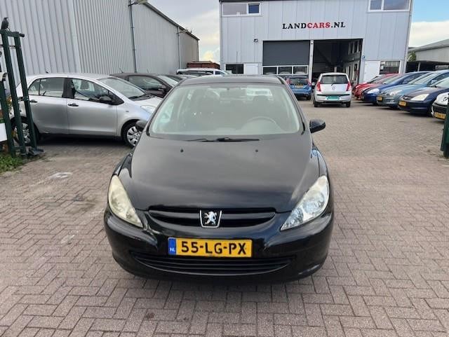 Peugeot 307 1.6-16v xs