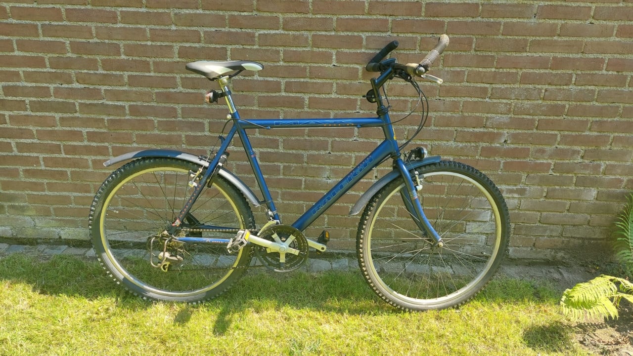 Raleigh mountainbike