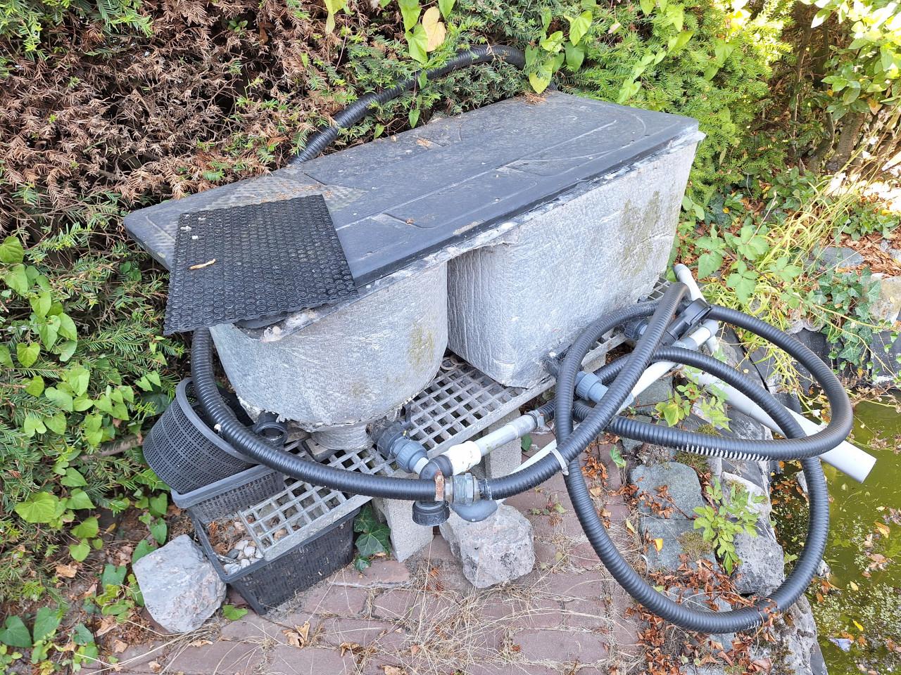 Vijverbak