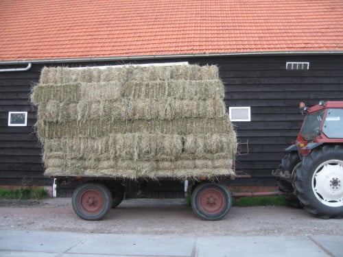 Weidehooi, graszaadhooi en stro