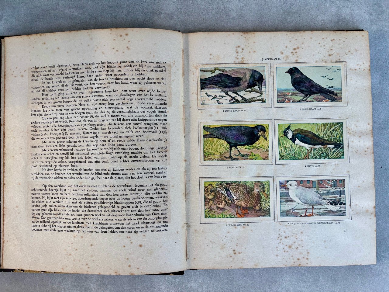 Diverse Verkade plaatjesboeken en meer. Zie foto’s