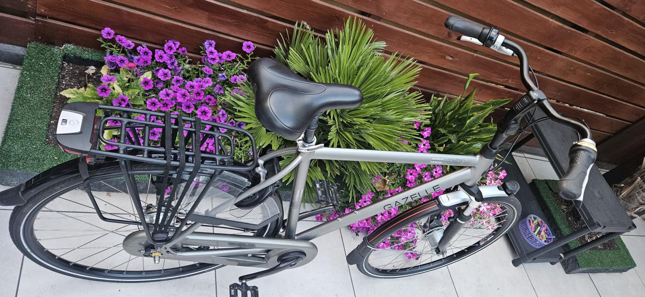 Gazelle Paris C7+ Herenfiets