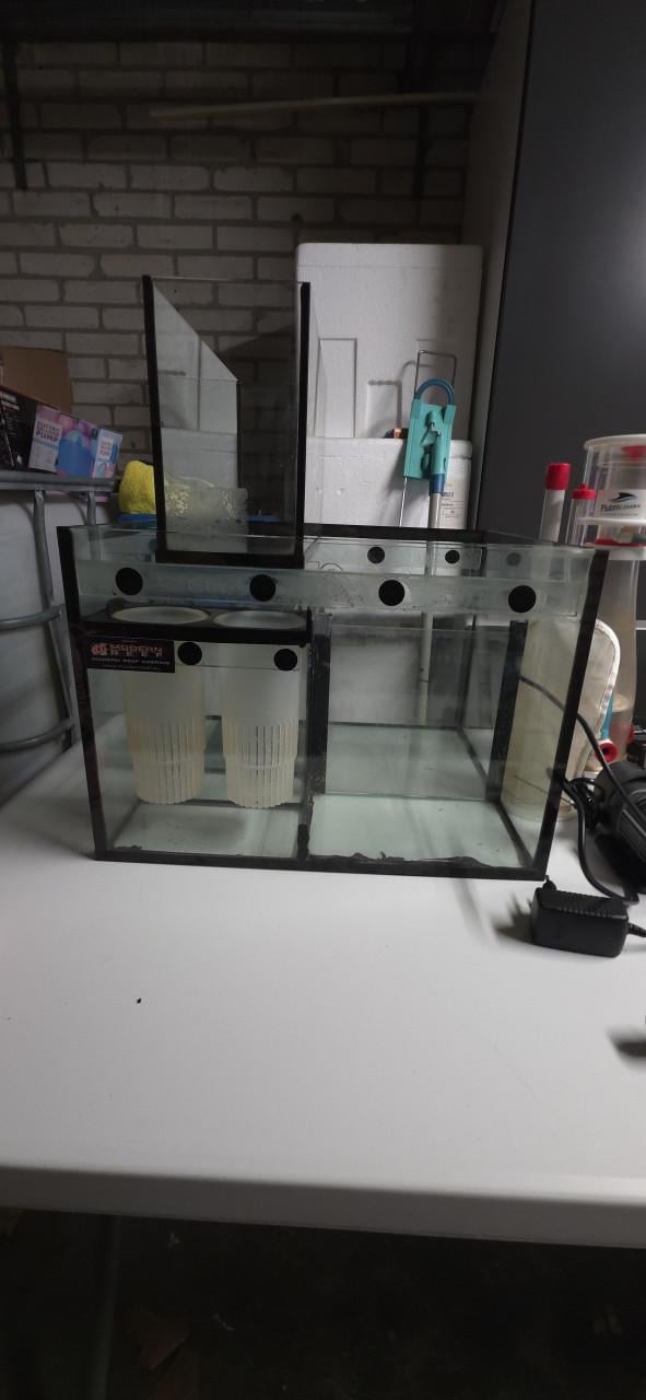 Zeeaquarium 250L incl apparatuur.