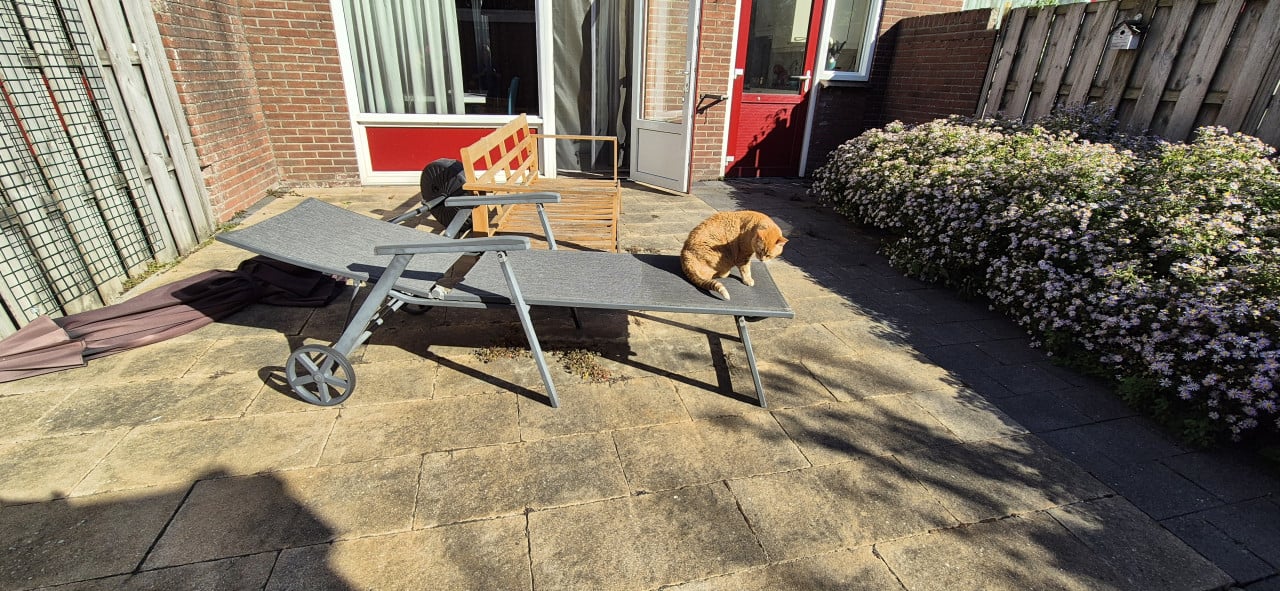 Ligstoelen Tuin