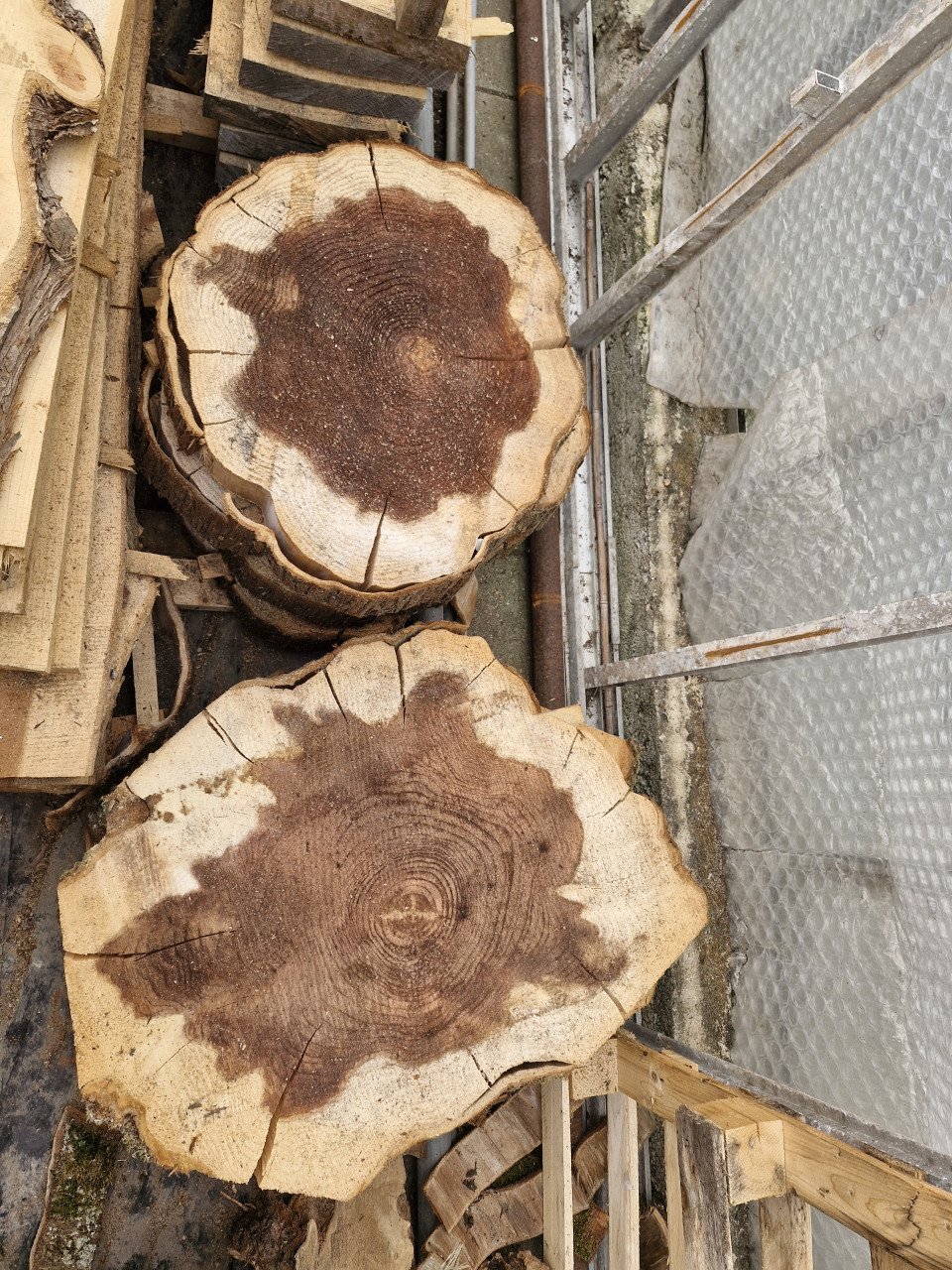Houten schijven van sequoia