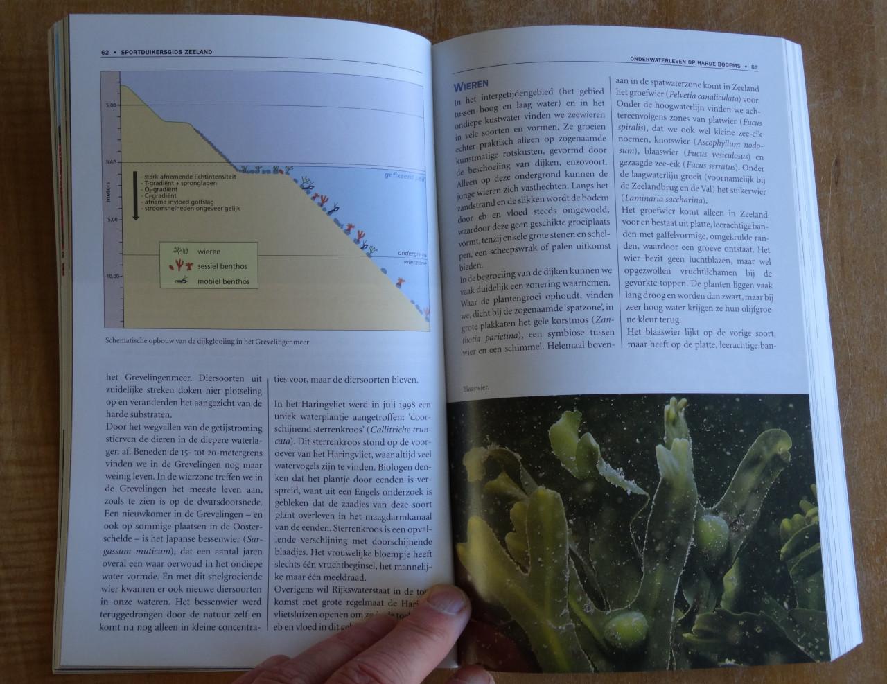 SPORTDUIKERSGIDS ZEELAND - John Neuschwander