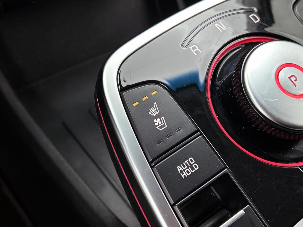 Kia E-niro executiveline 64 kwh fietsendragerbeugel | stoel/stuurwielverwar