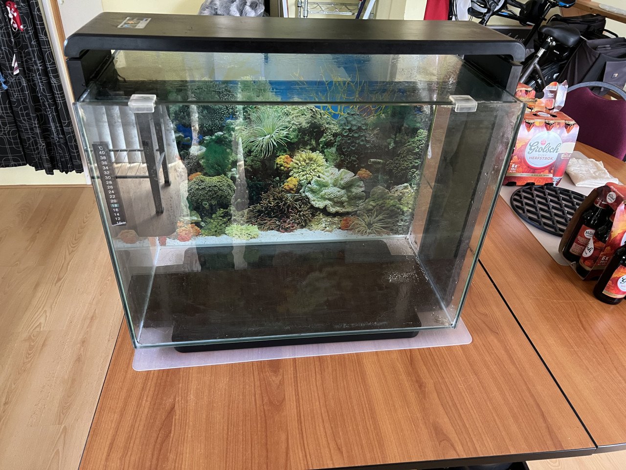 Superfish Home 80 LED Aquarium