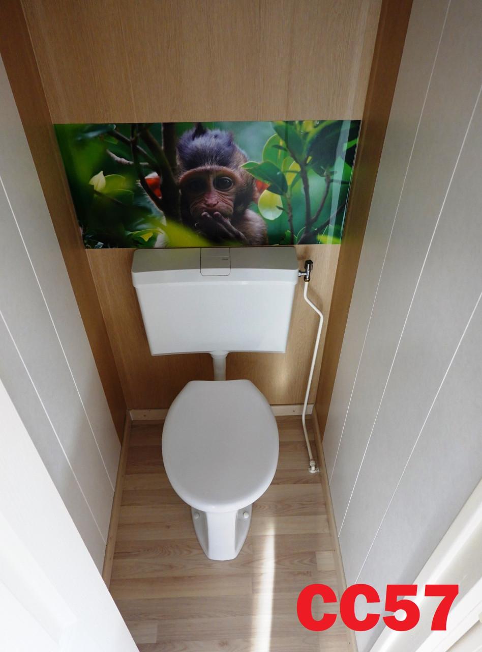 Betaalbaar chalet met dubbel glas, 2 slaapkamers en middenkamer