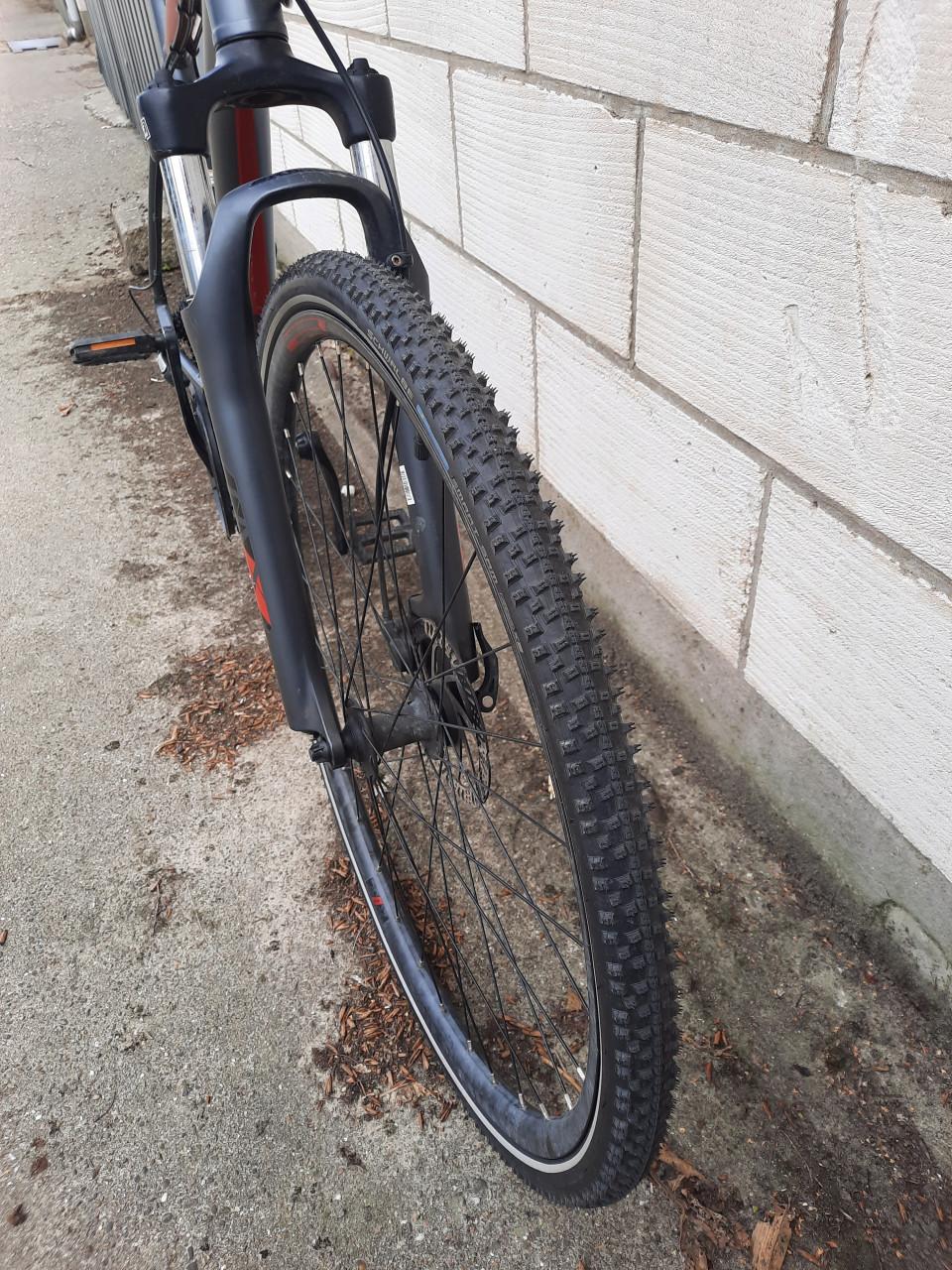 Maintenbike Bulls