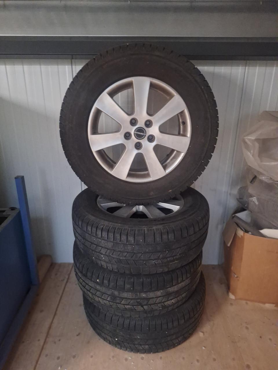 Auto velgen met winterbanden