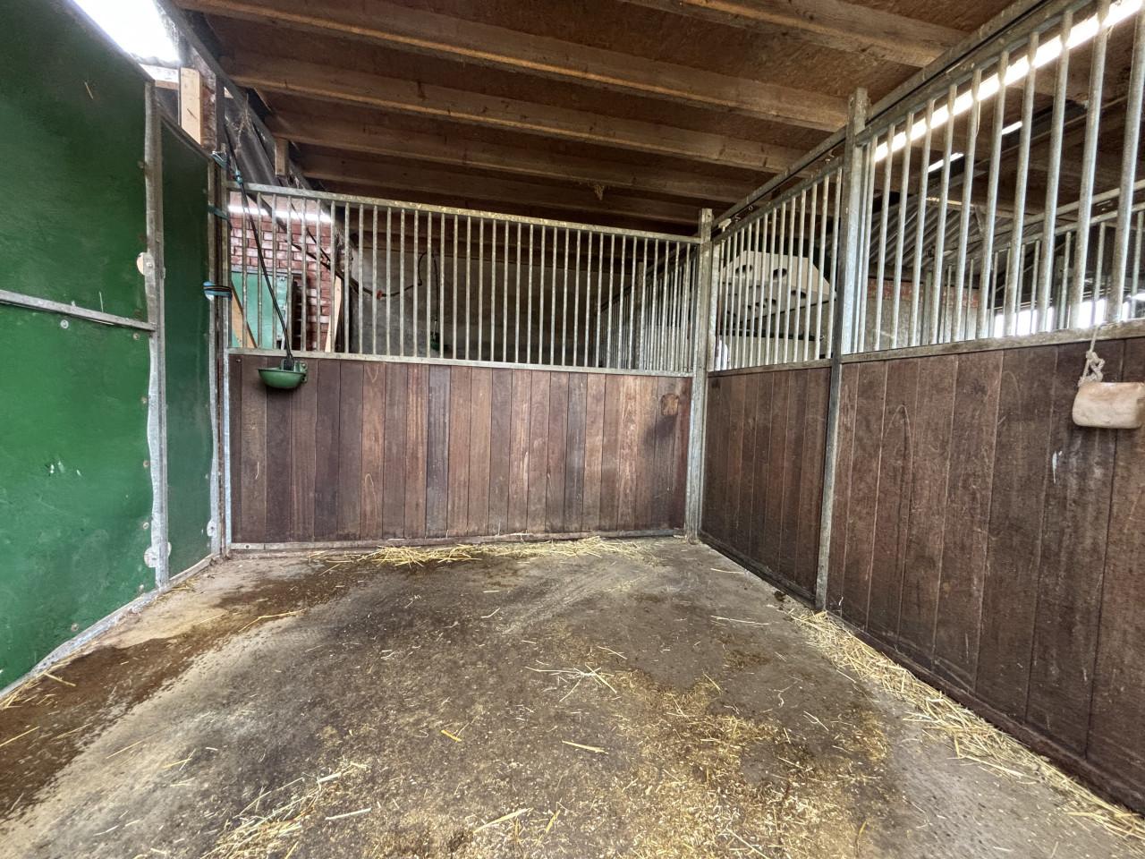 Nette paardenboxen