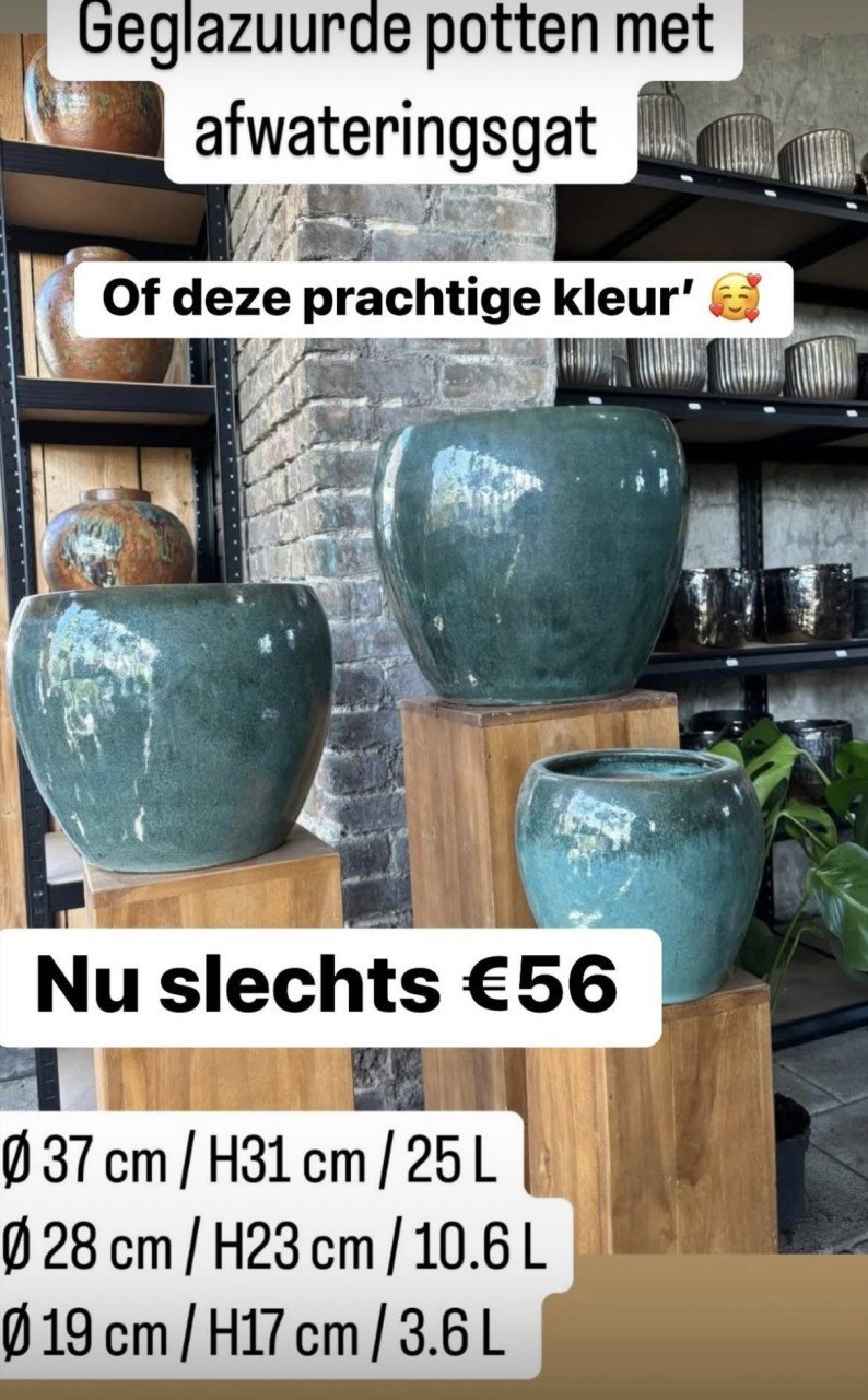 GOEDKOPE BUITEN+ BINNEN POTTEN