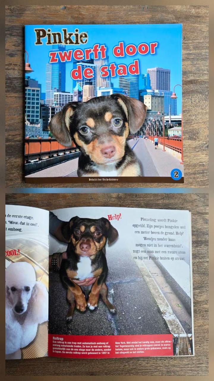 🎈Leuke Doe -en leesboekjes