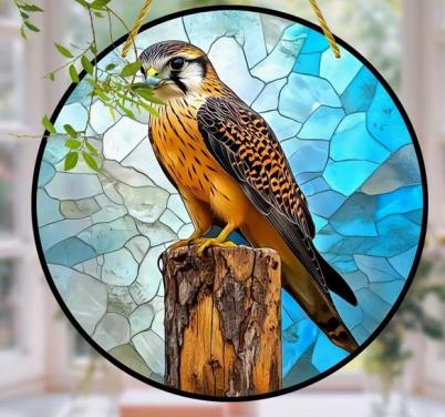 Raamhanger torenvalk