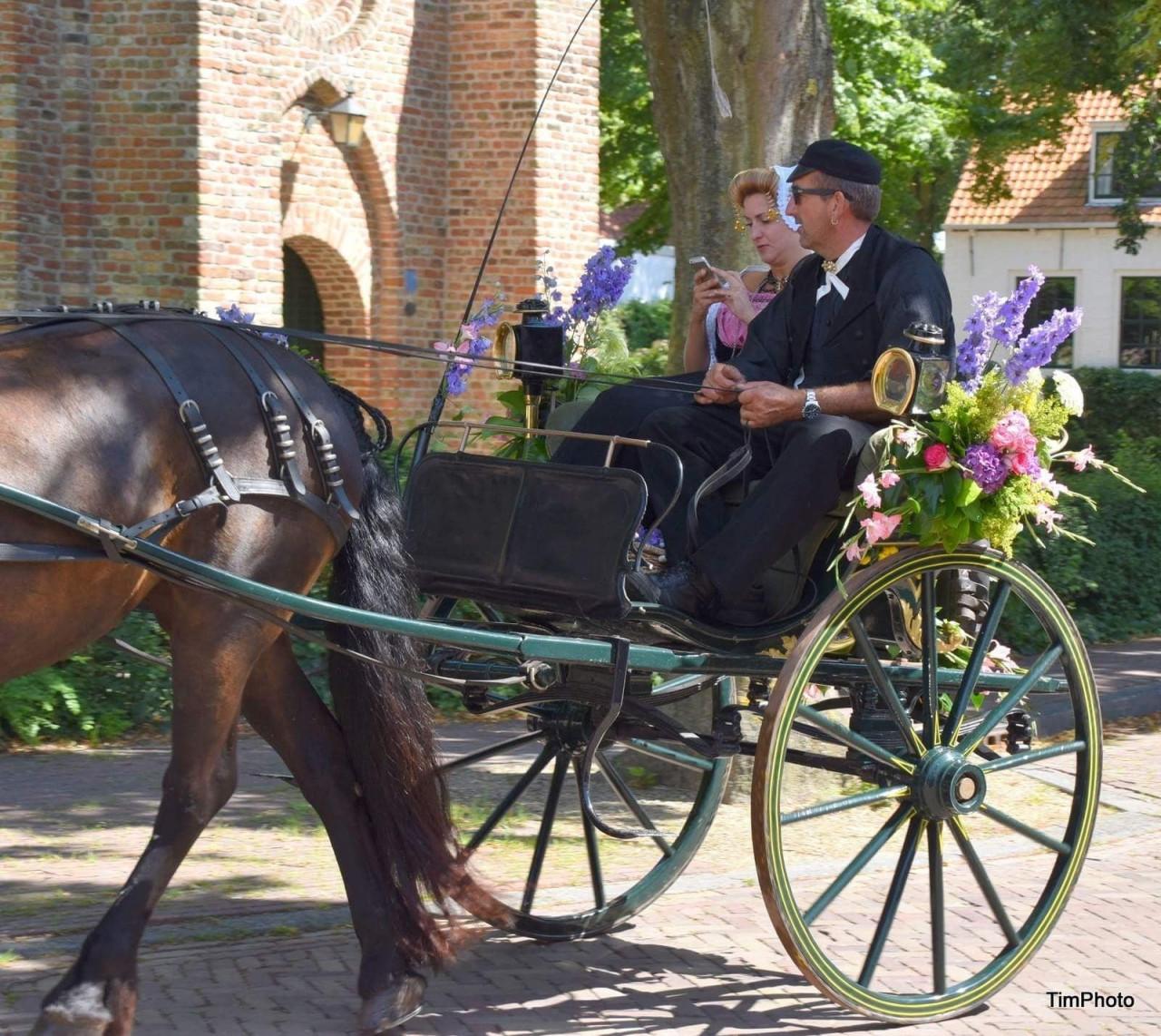 Sjees Friese tilburie