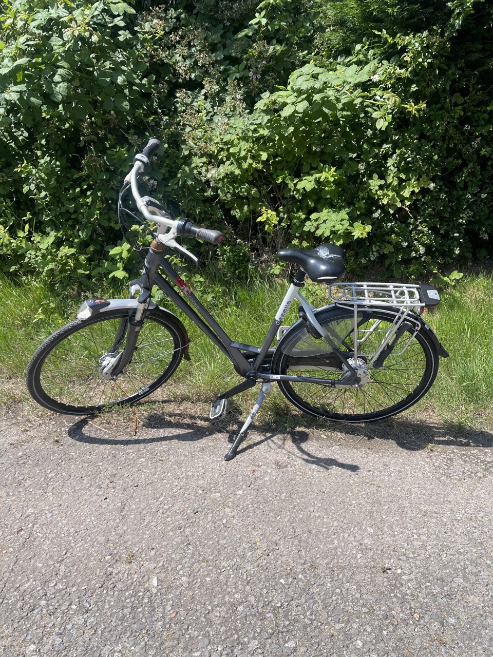 Tekoop nette gazelle eclipse