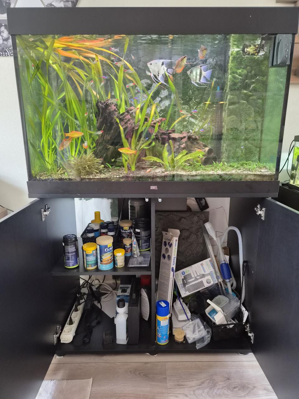 Juwel Aquarium 290L