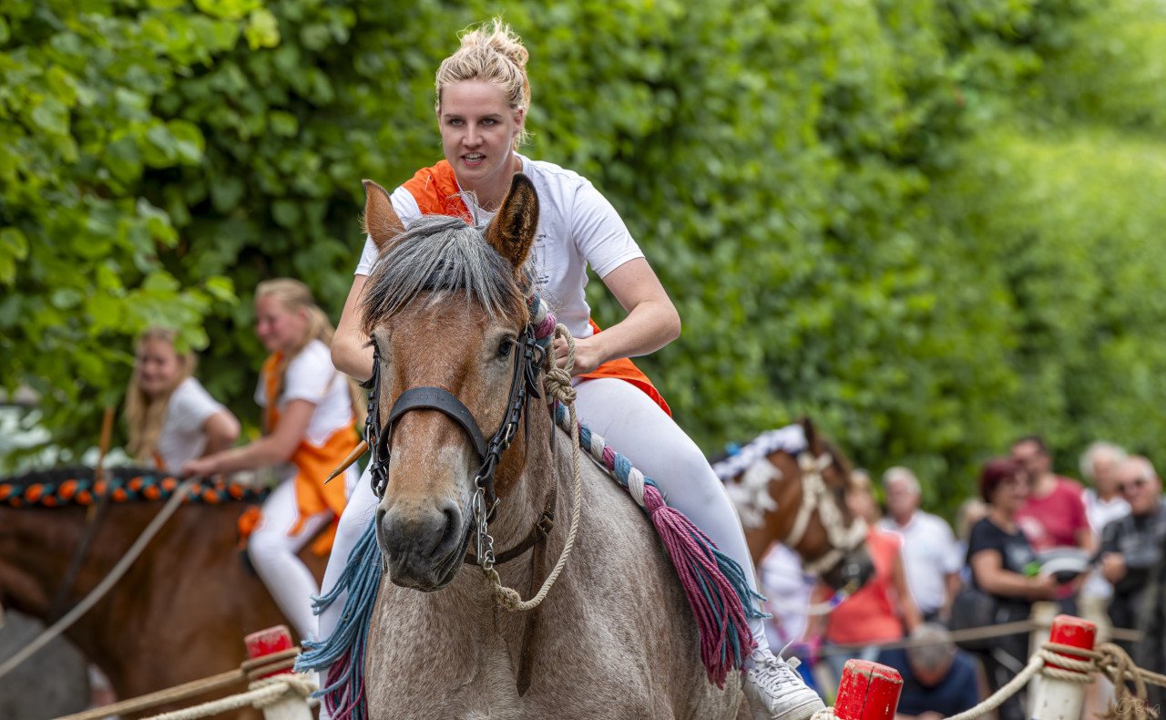Ringsteken Ons Genoegen Wemeldinge Zaterdag 6 Sept 10-17 uur