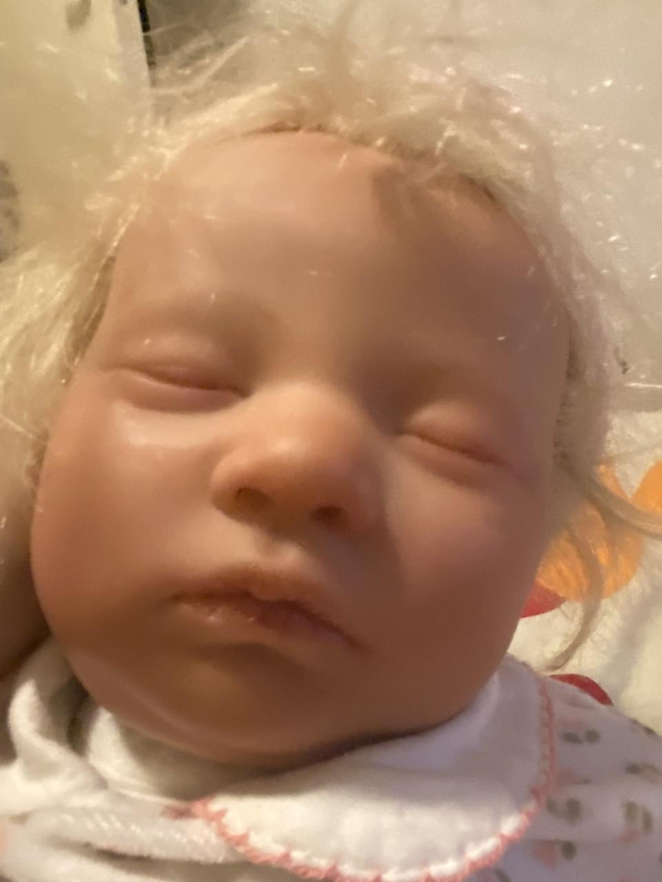 30 reborns voor 500euro