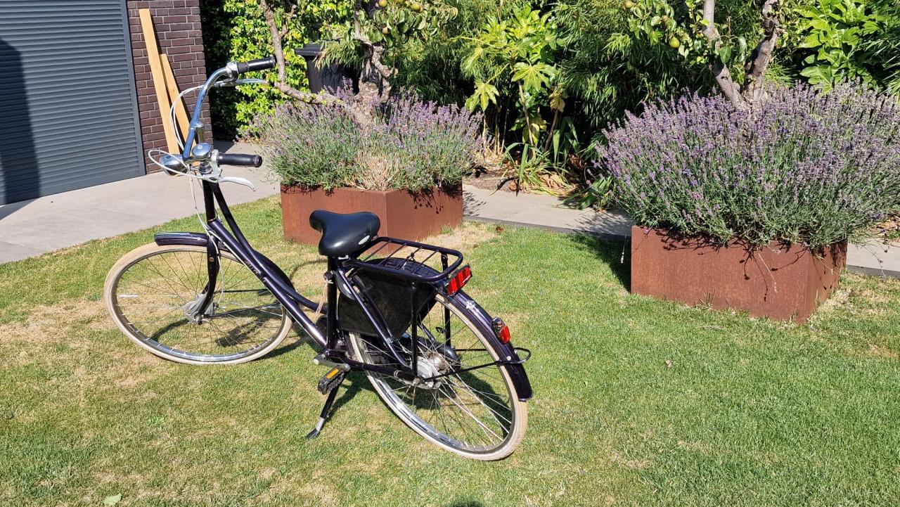 Fiets