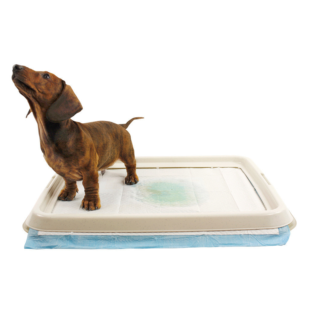 Easypets puppy pad houder / hondentoilet nieuw