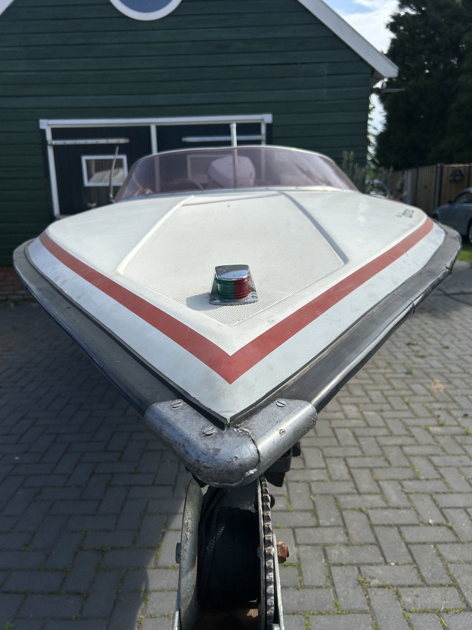 Piranha espada