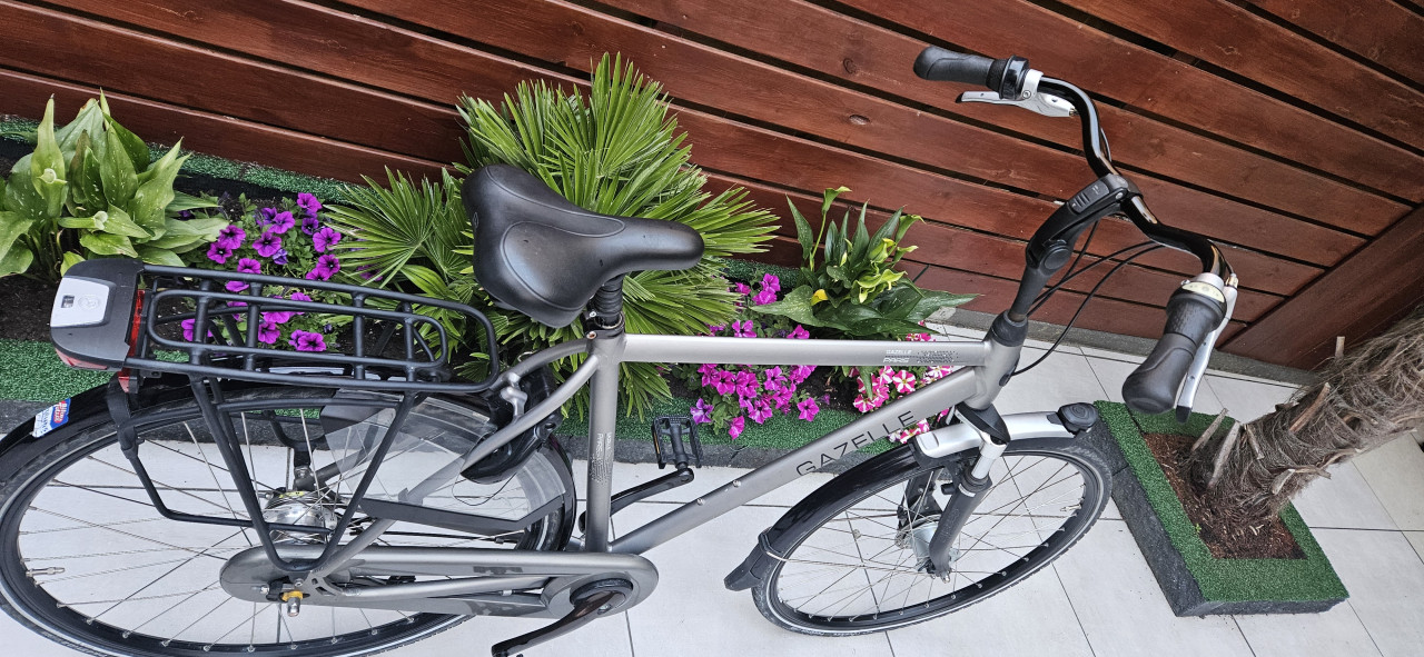 Gazelle  Paris  C7+ Herenfiets