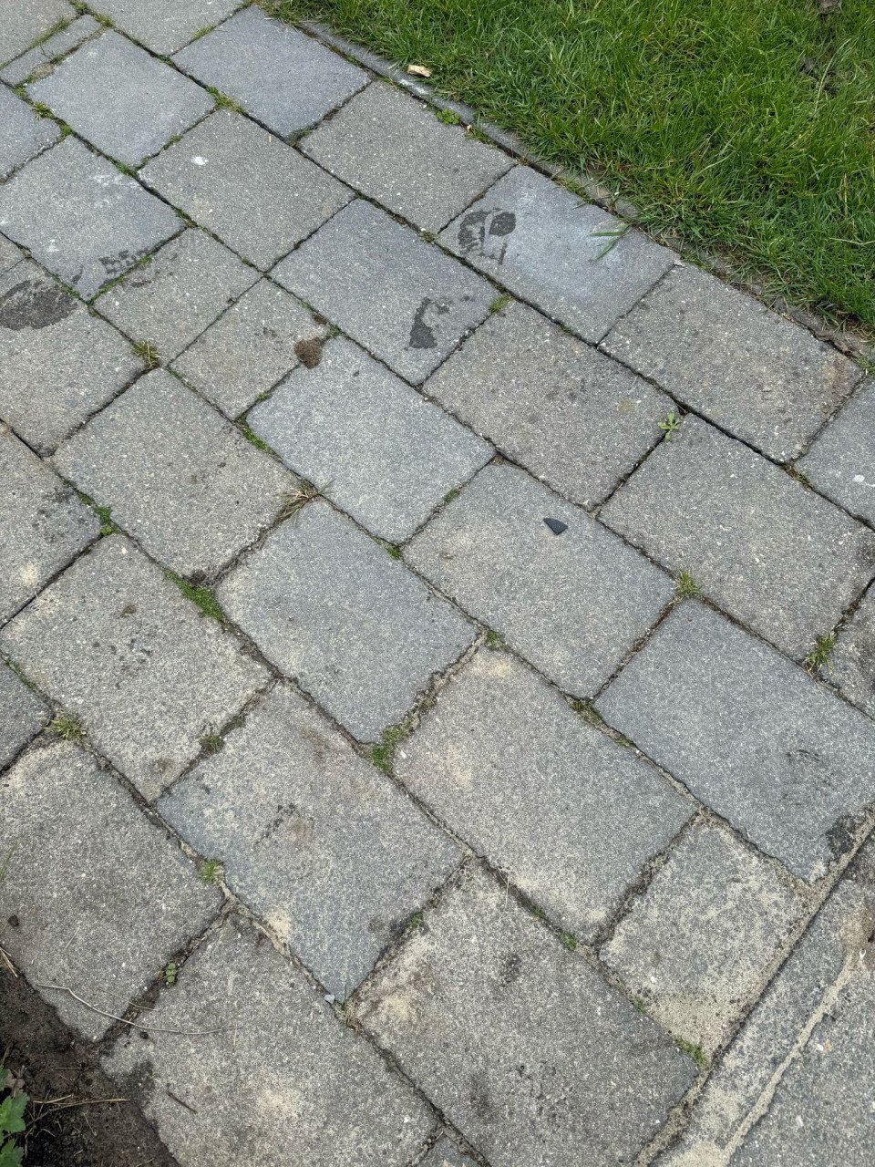 Gratis! Straat tegels 30 bij 20cm, 20m2
