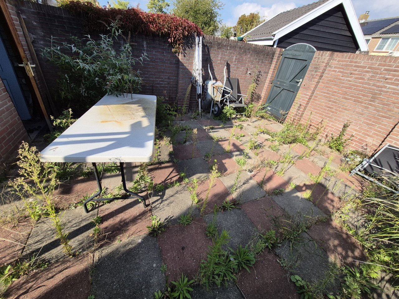 Betaalbare en Betrouwbare Tuinman nodig? Beschikbaar!!