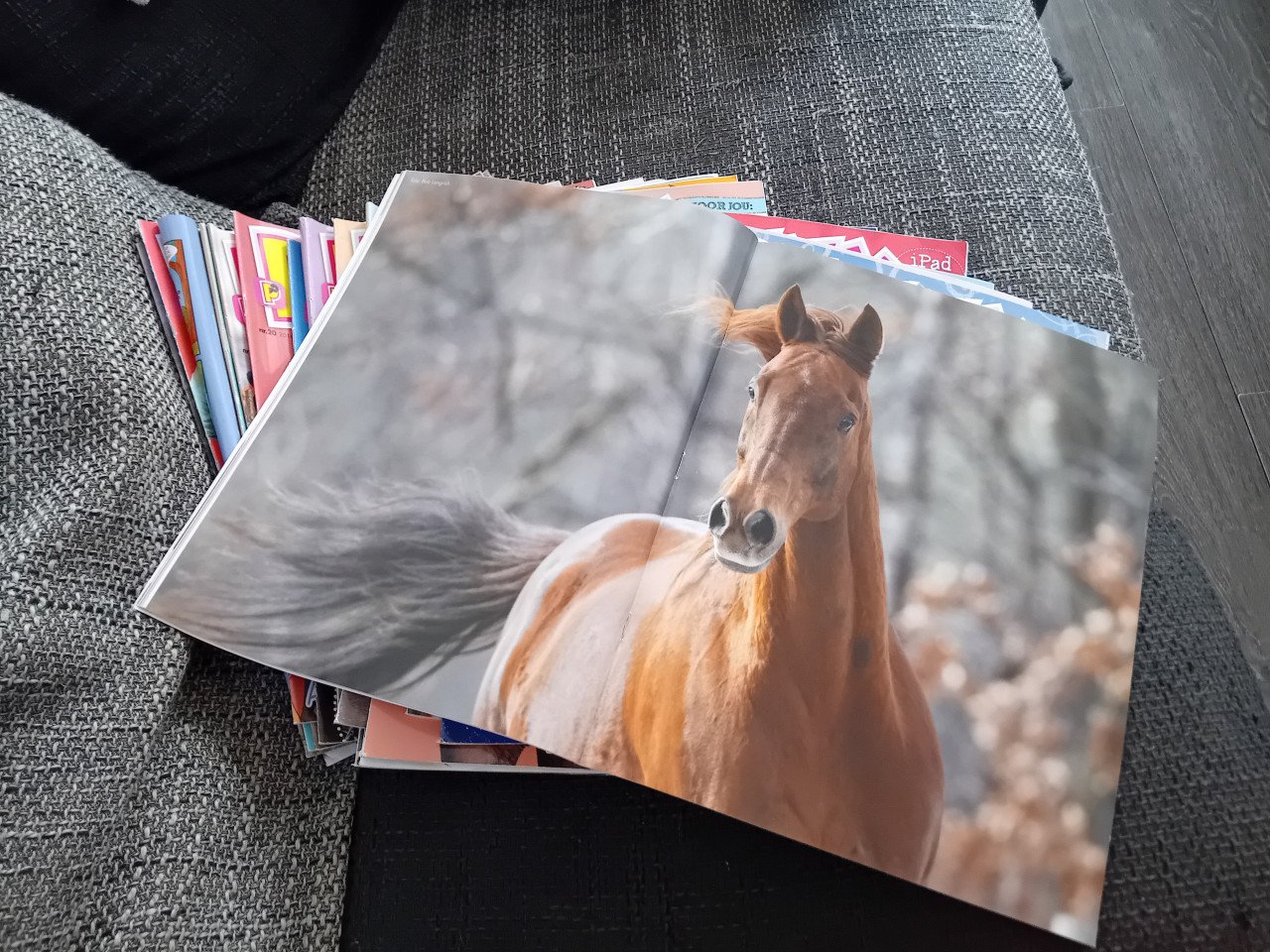 Penny tijdschriften jaargang 2016