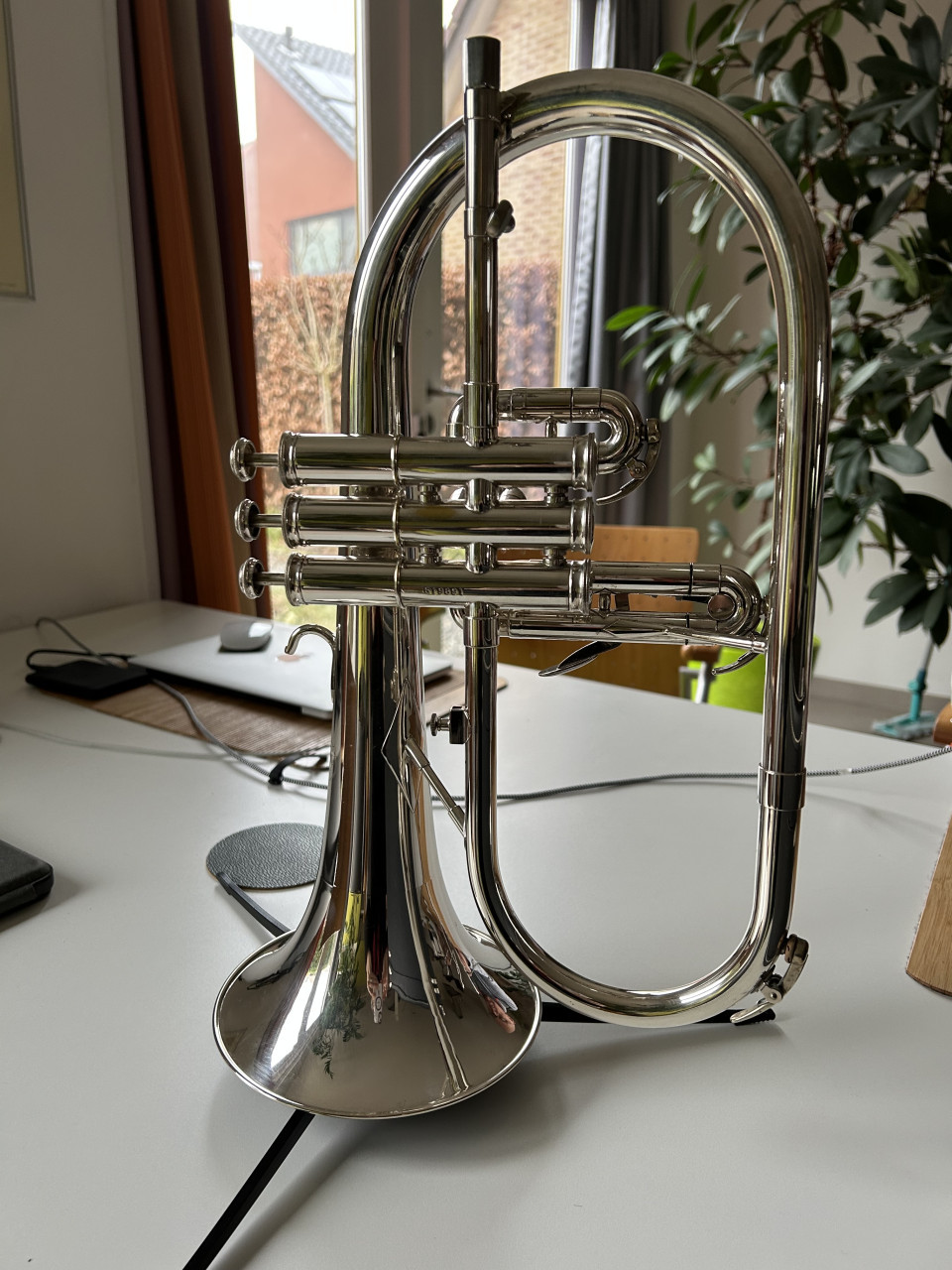 Bugel Manchester Brass te koop