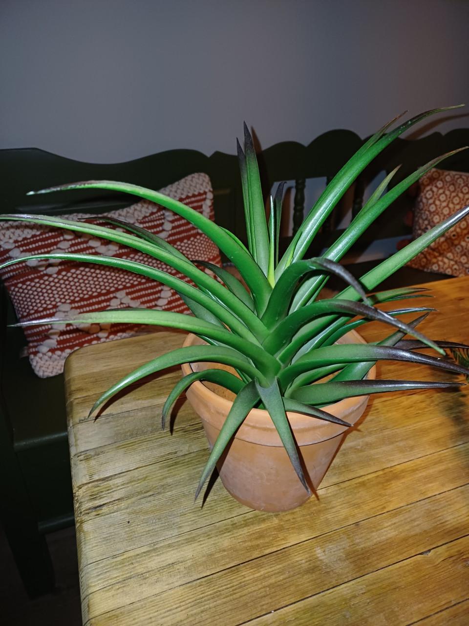 Kunstplanten