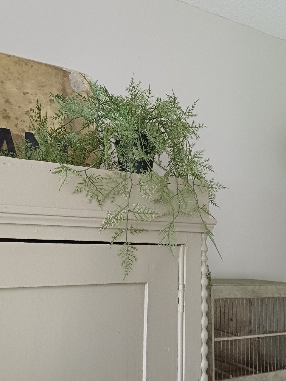 Kunst planten