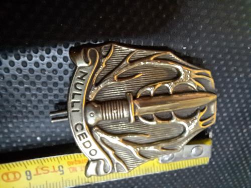 Militair embleem stoottroepen