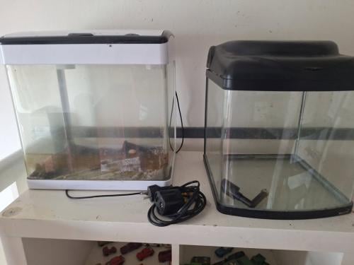 Aquqriums en wat spullen oa co2