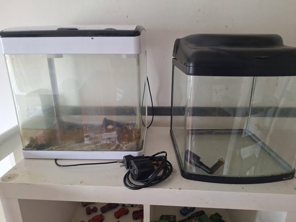 Aquqriums en wat spullen oa co2