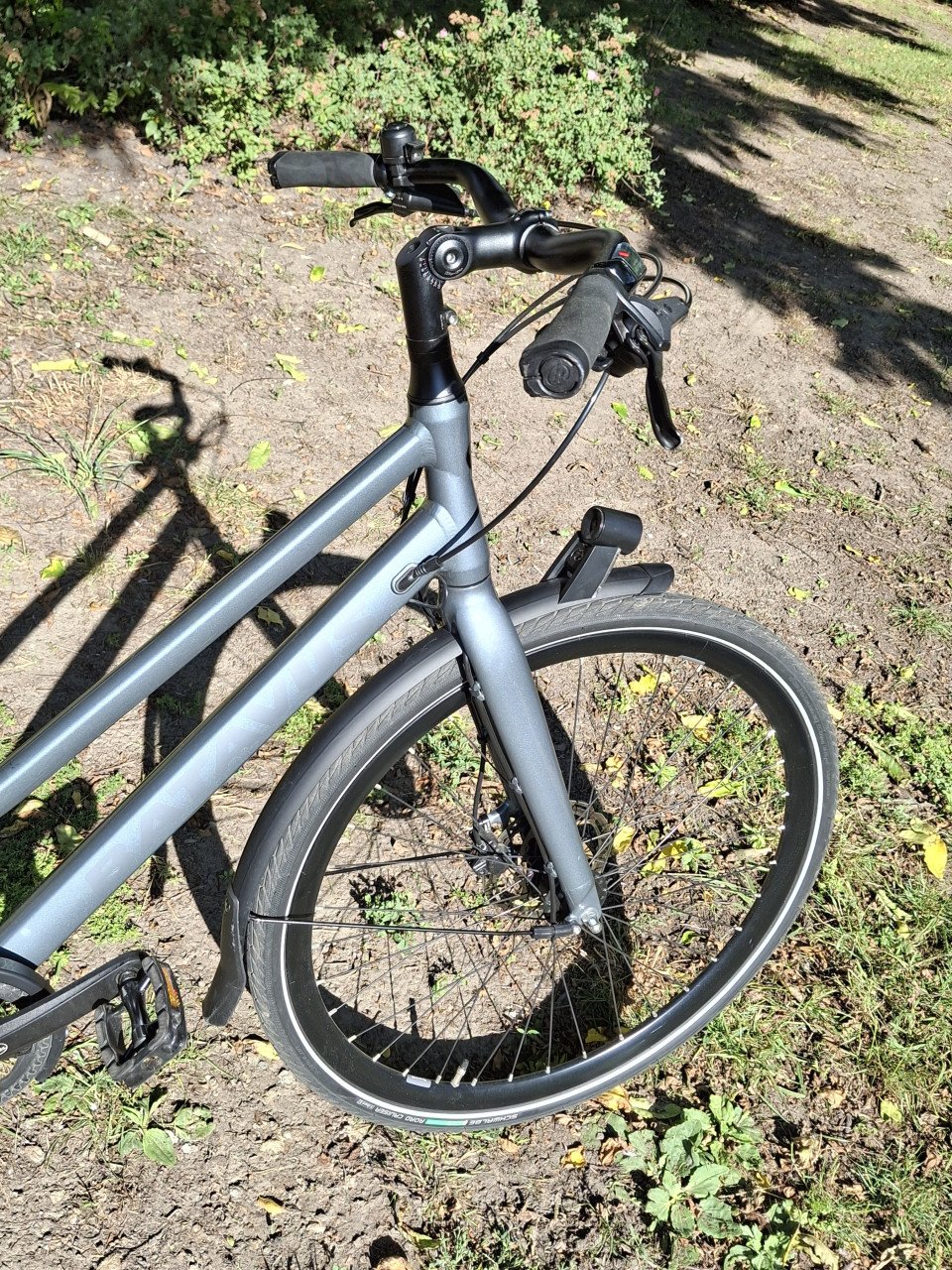 Batavus Dinsdag Exclusive Plus Multigrijs Dames fiets 11 versnellingen