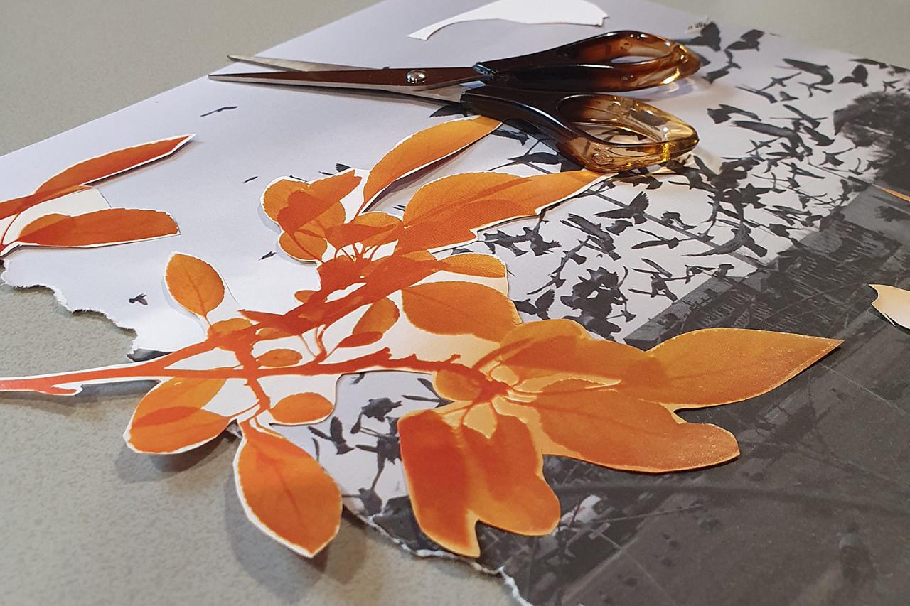 Workshop collagekunst