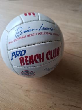 Vintage Brine Professional Volleyball 1993 BVCM20, mini