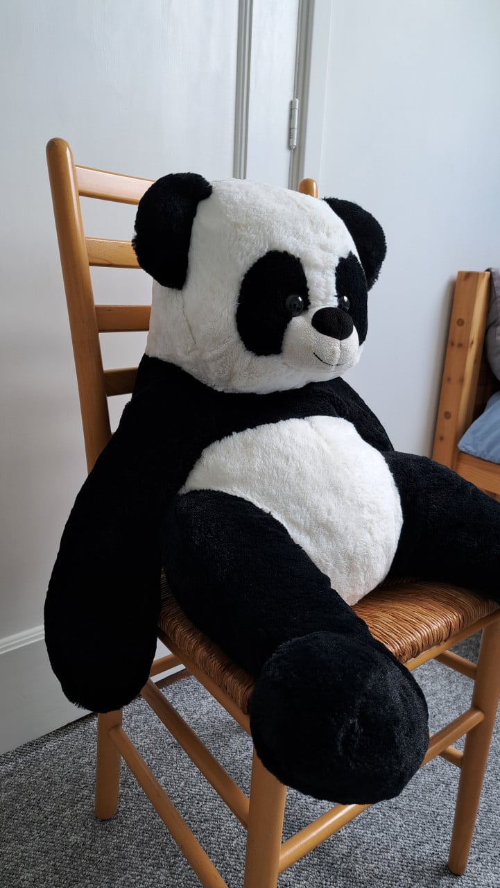 Panda knuffelbeer