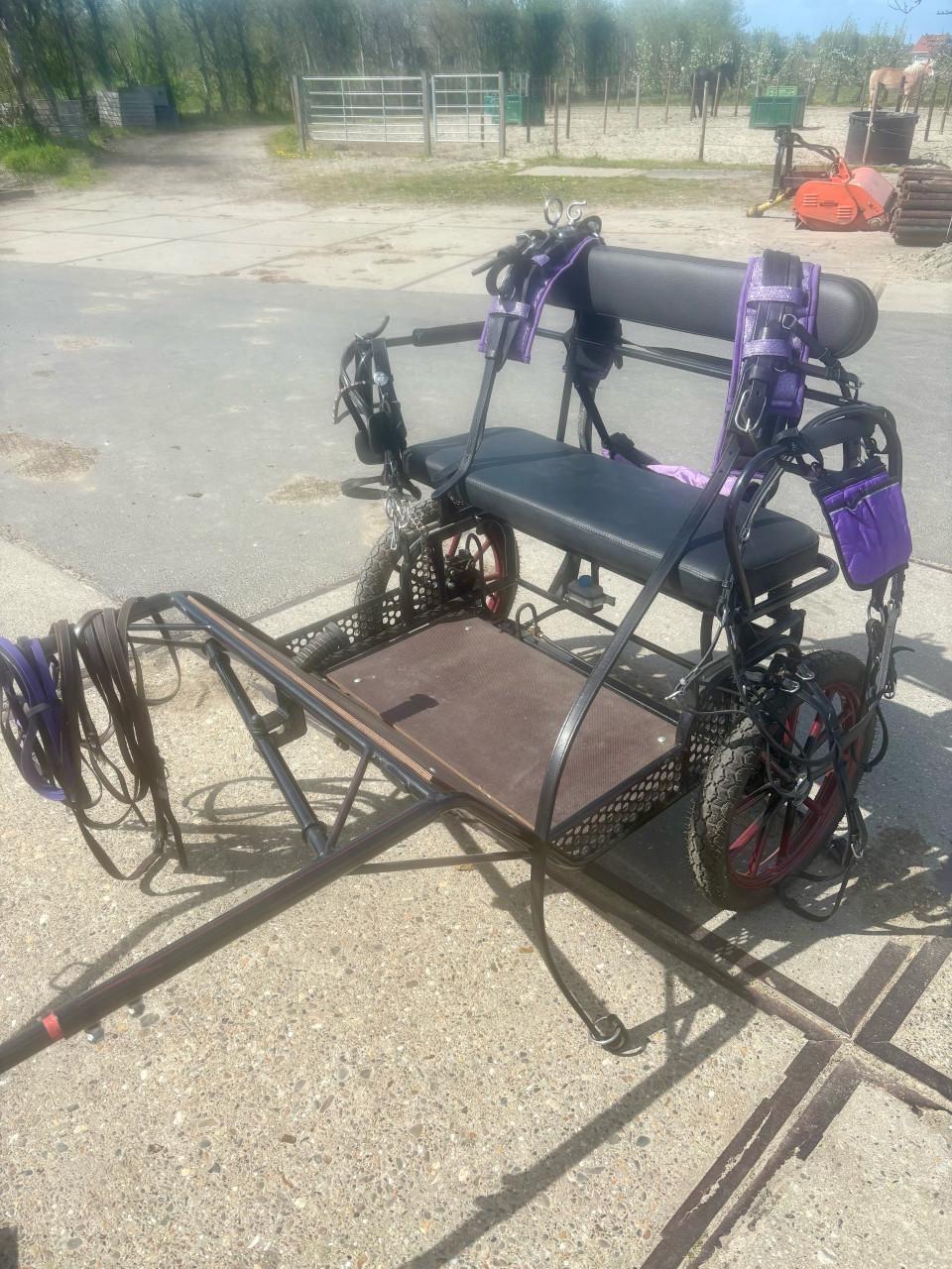 Sulky shetlander met toebehoren