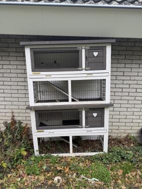 Cavia/konijnen hok