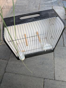 Vogelkooi