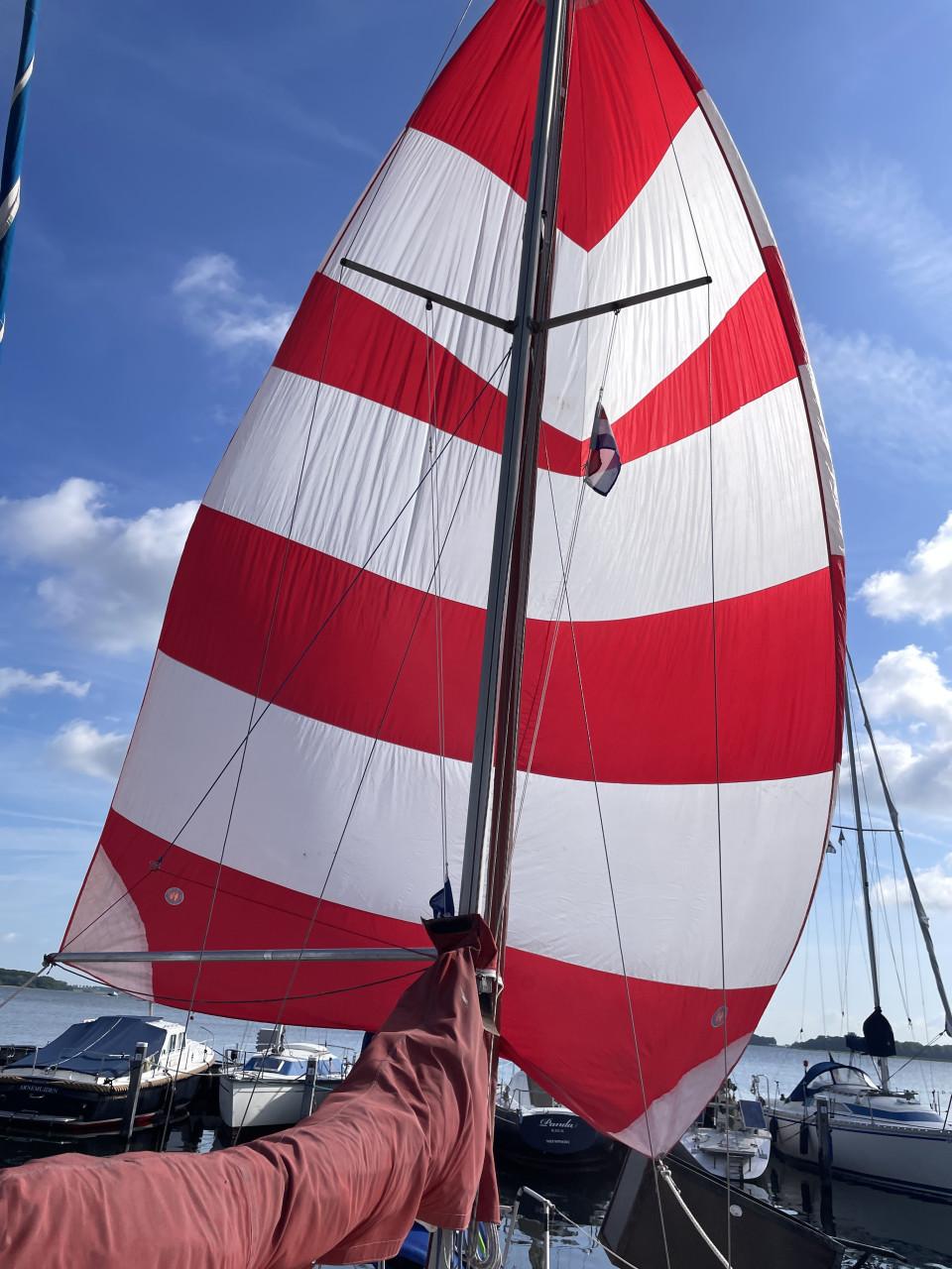 Diverse spinnakers, gennaker en genua